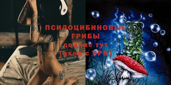 МДМА Алексеевка