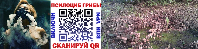 Галлюциногенные грибы Cubensis  KRAKEN ссылки  Устюжна  цена  